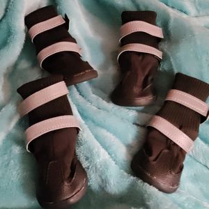 🐕 Doggy shoes